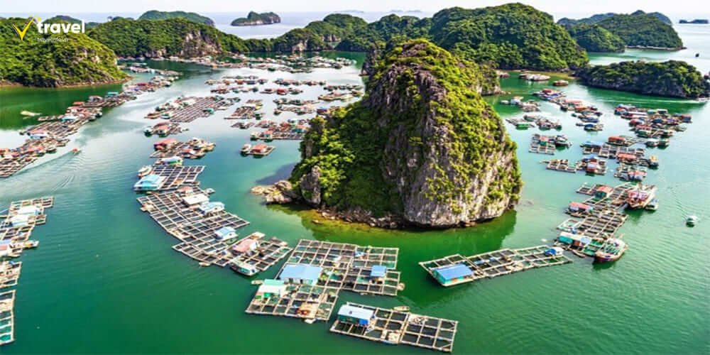 Làng chài Cái Bèo – Di sản văn hóa độc đáo