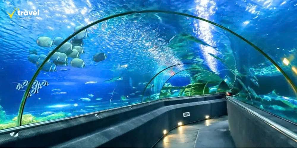 Viện Hải dương học Nha Trang – Khám phá đại dương thu nhỏ