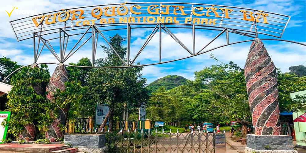 Vườn quốc gia Cát Bà – Kho báu sinh học của Việt Nam