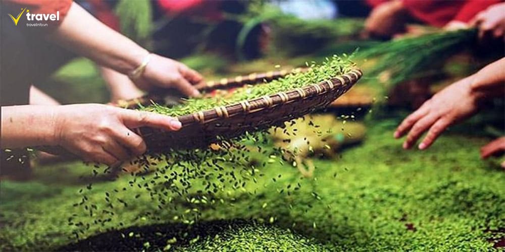 Cốm Tú Lệ – Tinh hoa từ hạt lúa non