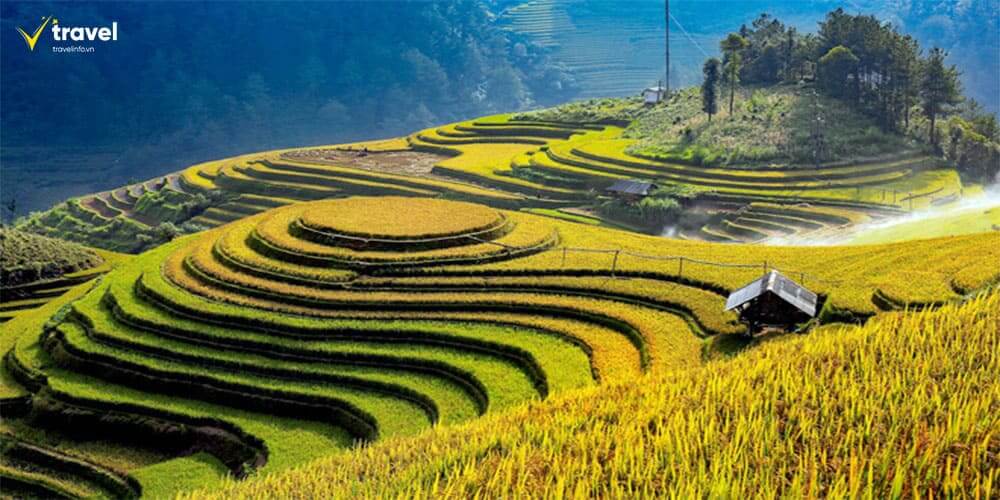 Ruộng bậc thang Mù Cang Chải