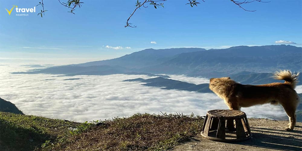 Săn mây – Hoạt động hấp dẫn nhất tại Sì Thâu Chải