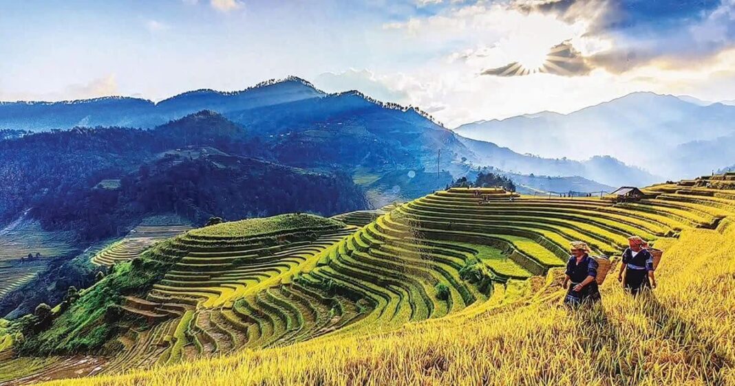Du lịch Mù Cang Chải: Vẻ đẹp kỳ vĩ giữa đại ngàn Tây Bắc